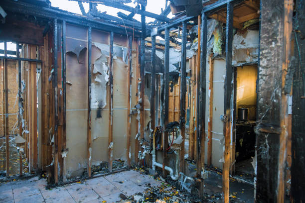 Professional Smoke Damage Removal technician working in Herlong, CA